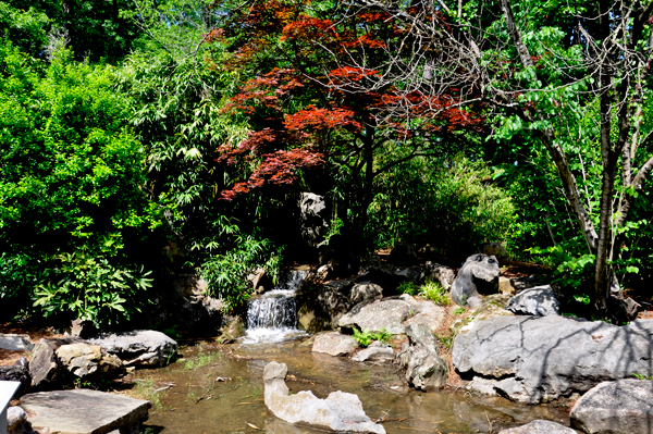 small waterfall in the Japanese Garden